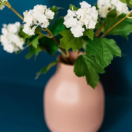 Luxurious - Near Old Town 아파트