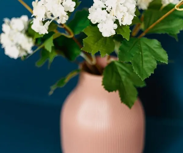 Luxurious - Near Old Town Apartman